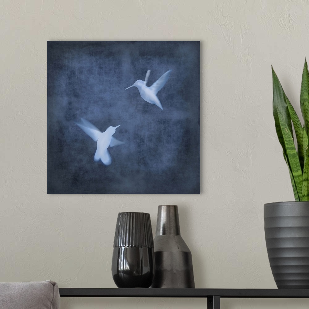 A modern room featuring Square decor with two white silhouetted birds in flight on an indigo background.
