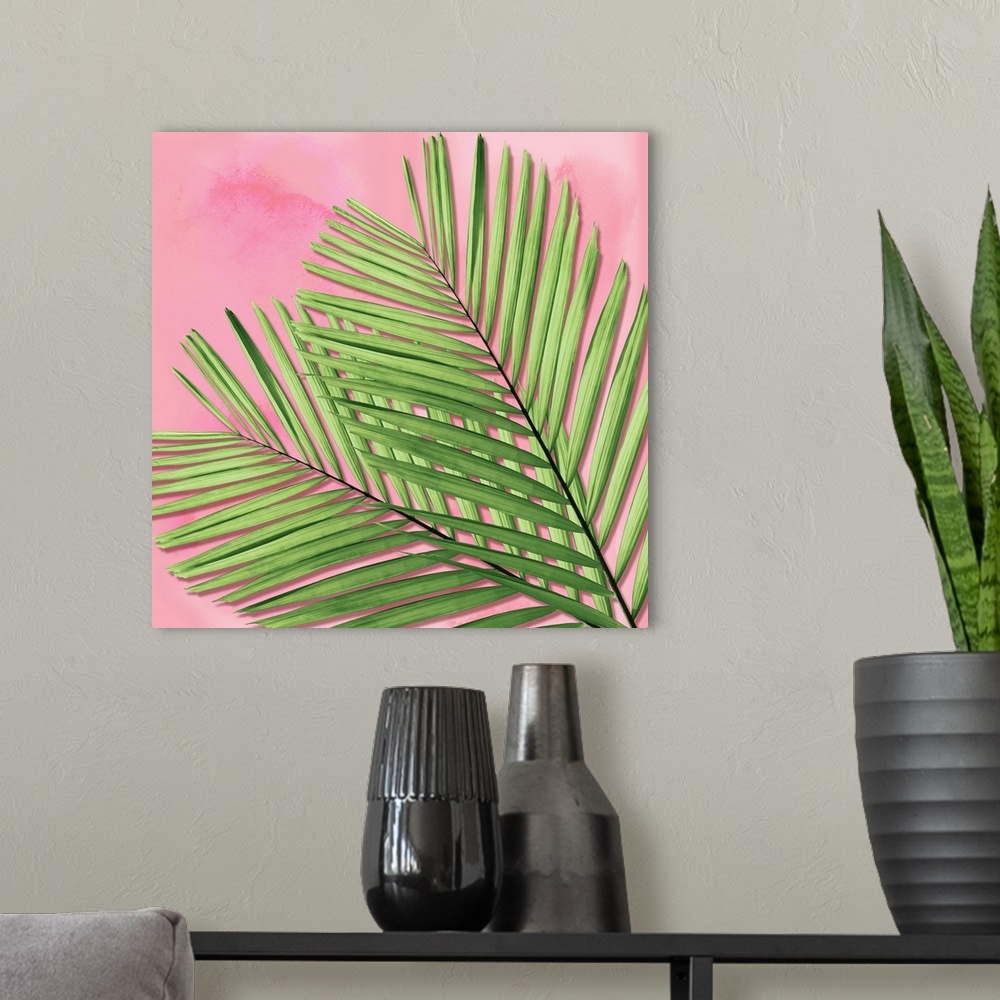 A modern room featuring Palm on Pink I