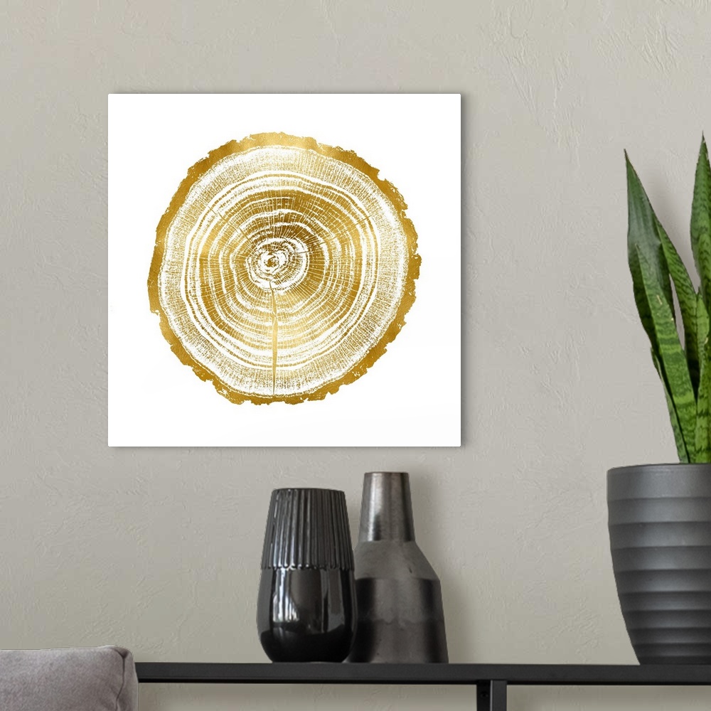 A modern room featuring Square decor with tree stump rings in gold and white.