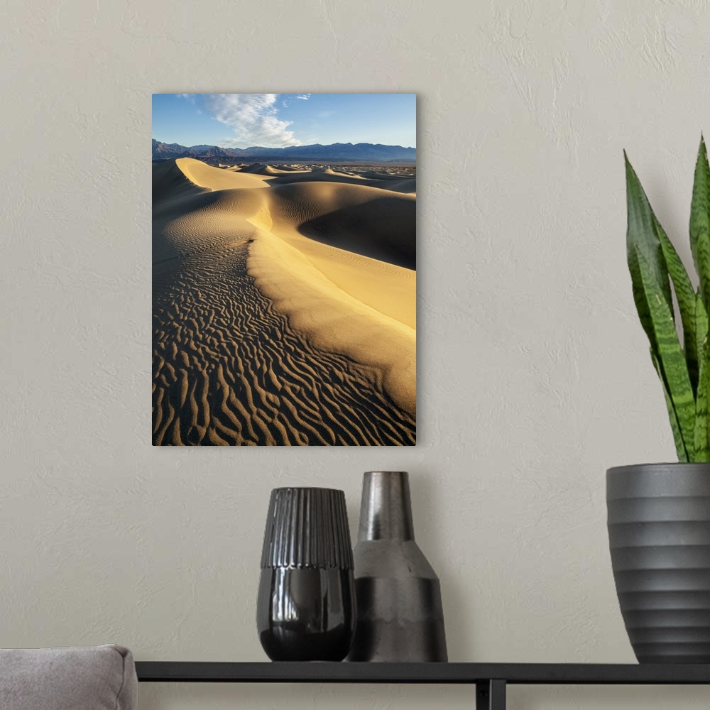 A modern room featuring USA, California, Death Valley National Park, Early morning sun hits Mesquite Flat Dunes