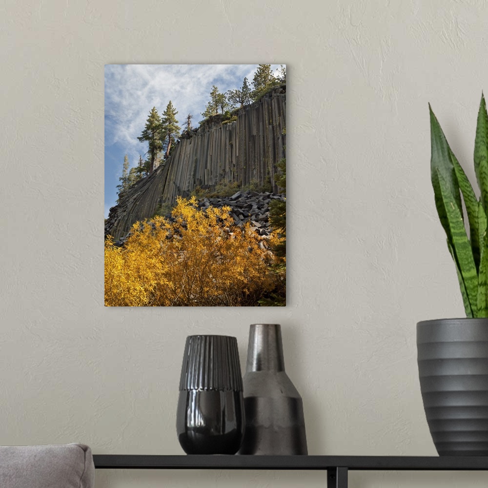 A modern room featuring USA, California, Eastern Sierra, Devils Postpile National Monument in autumn