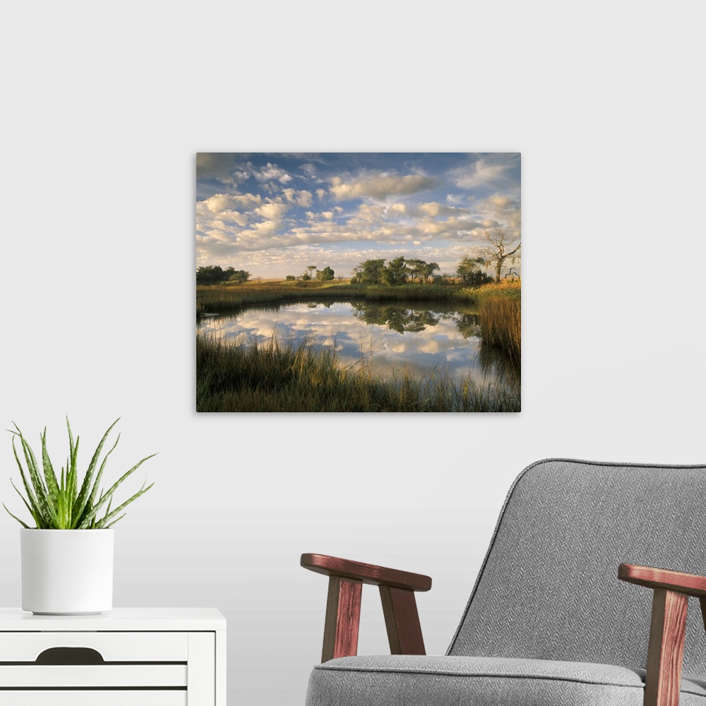A modern room featuring Georgia Tybee Island, Reflections of clouds on salt water pond at Chimney Creek in morning light.