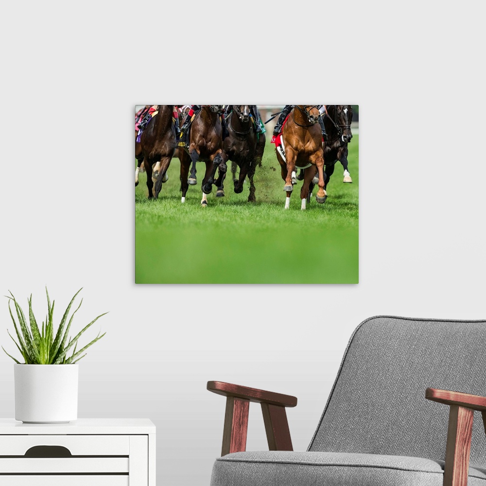 A modern room featuring Grass turf horse racing