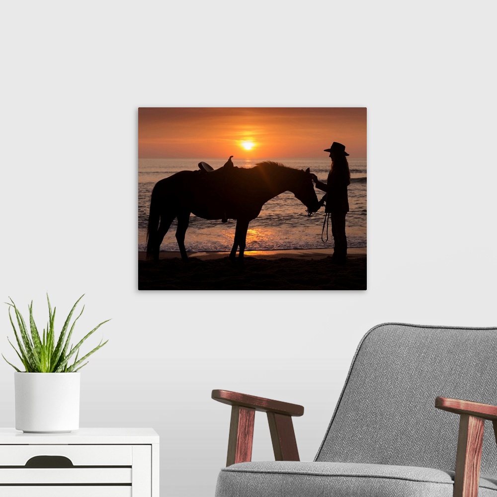 A modern room featuring Horse and rider, sunrise, Vilano Beach, Florida