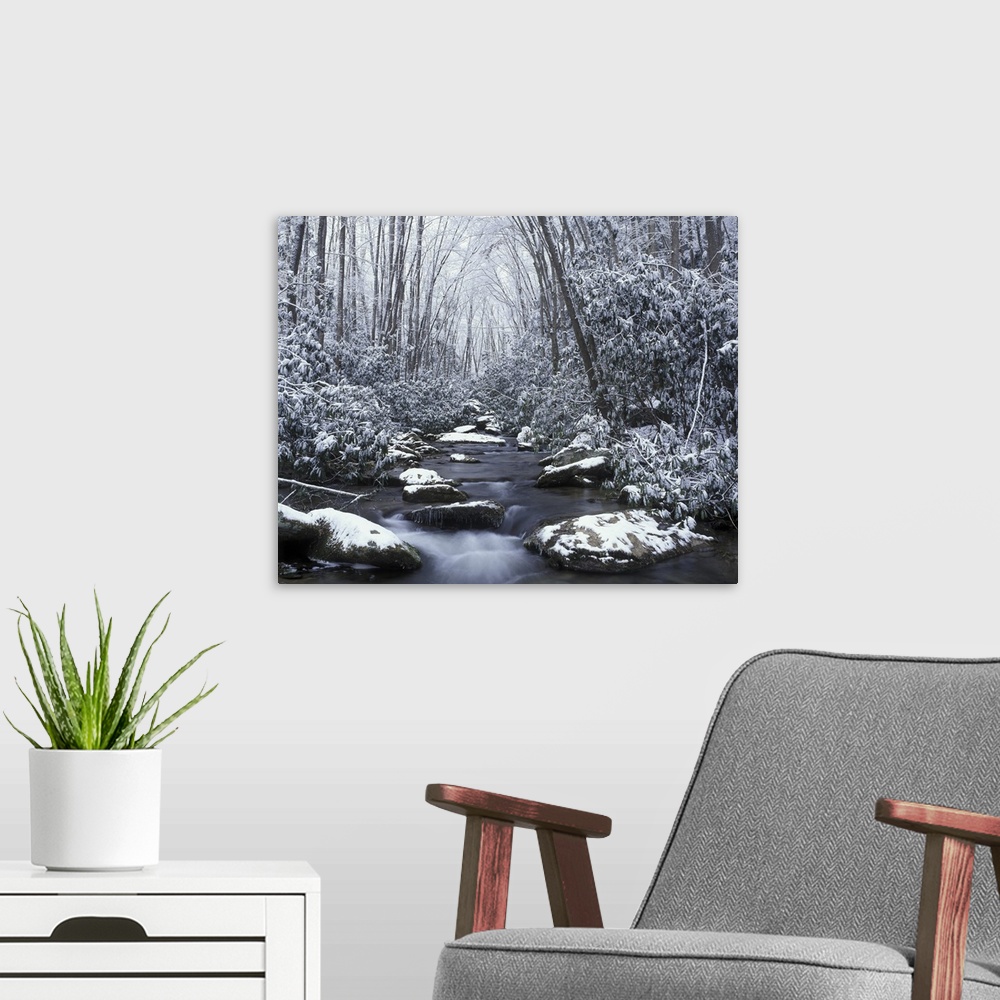 A modern room featuring Tennessee, Great Smokey Mountains National Park, Cosby creek in winter.