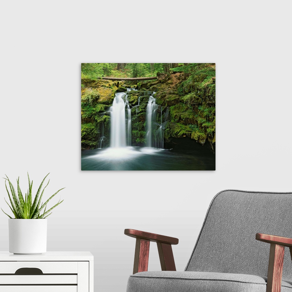 A modern room featuring USA, Oregon, Umpqua River. Waterfall scenic.