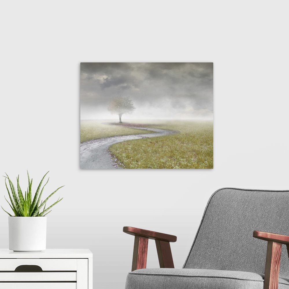A modern room featuring Beautiful landscape with an isolated tree and a path with clouds and fog.