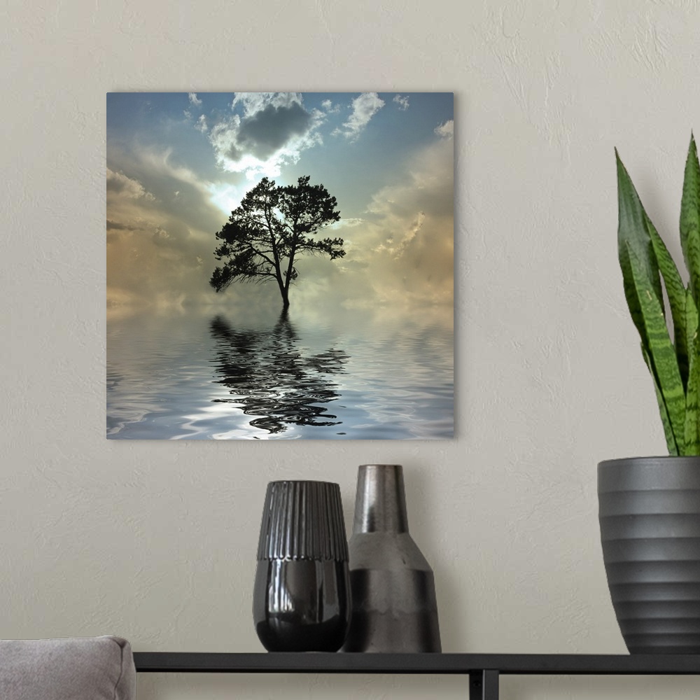 A modern room featuring Tree and water.