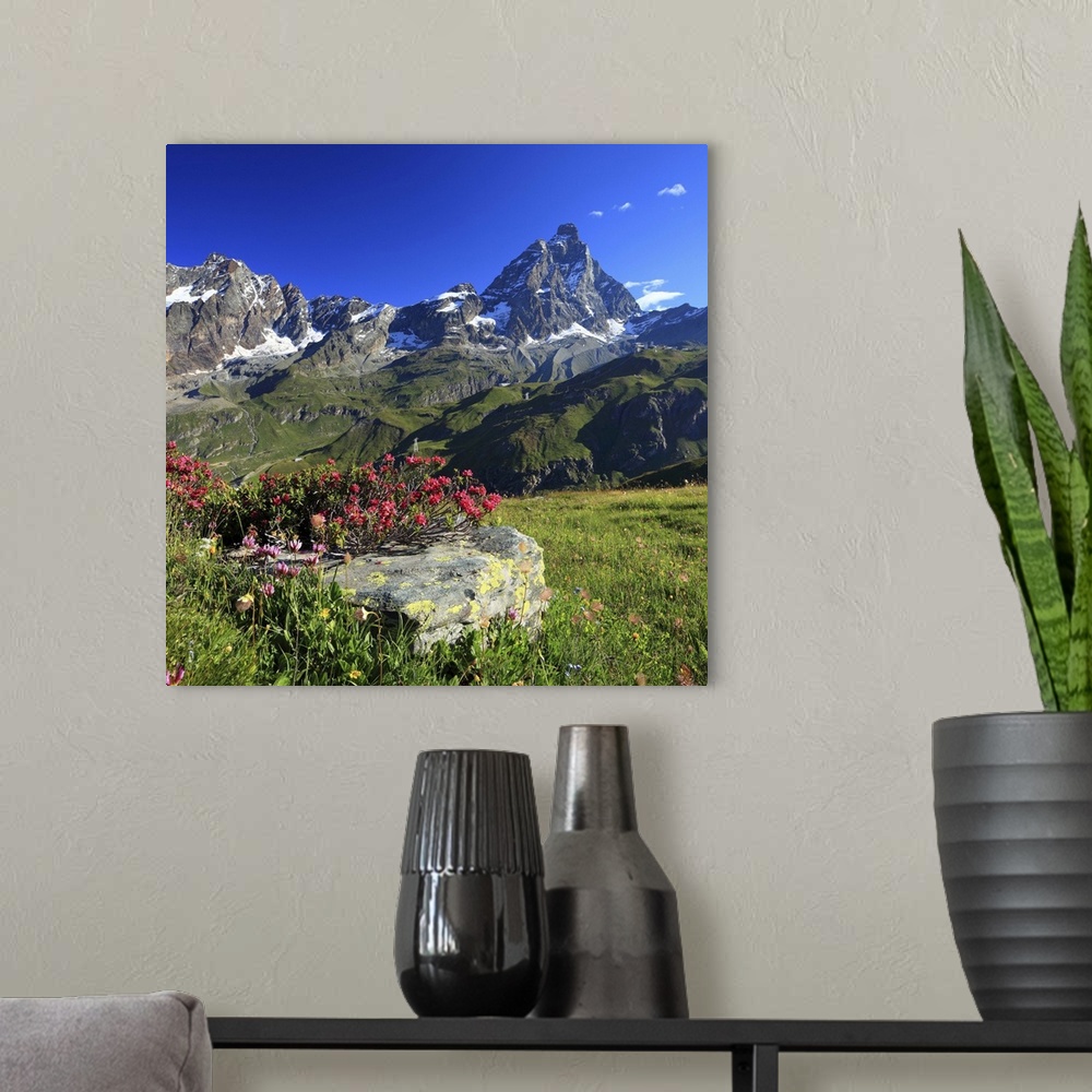 A modern room featuring Italy, Aosta Valley, Mediterranean area, Alps, Aosta district, Valtournenche, Summer morning, rho...