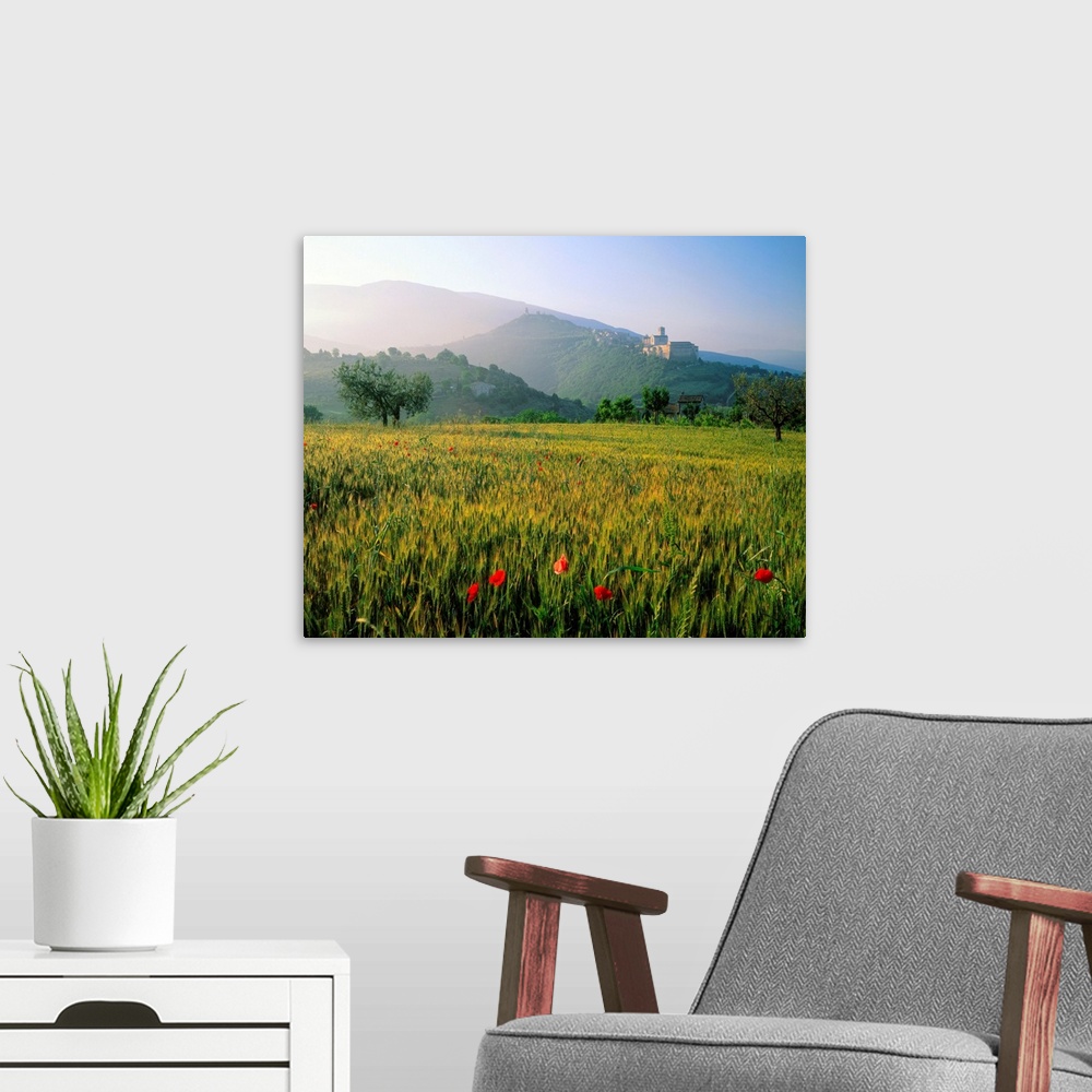 A modern room featuring Italy, Umbria, Assisi, view of the hill, Basilica of San Francesco