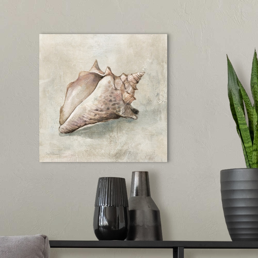 A modern room featuring Seashell Textures II
