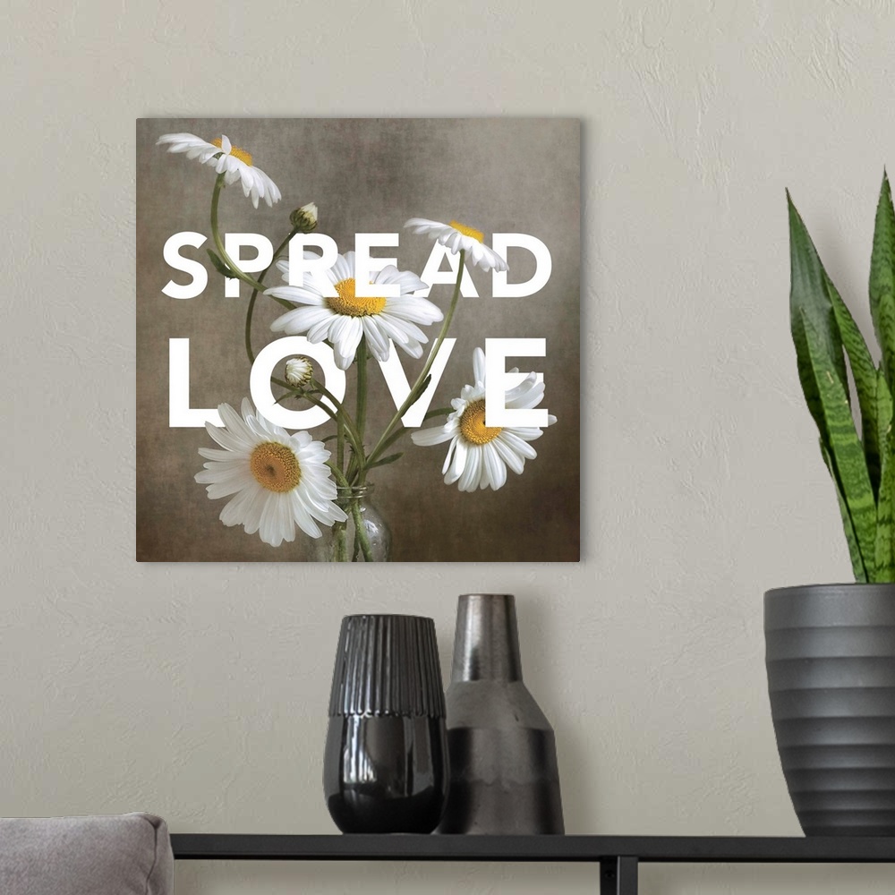 A modern room featuring Spread Love