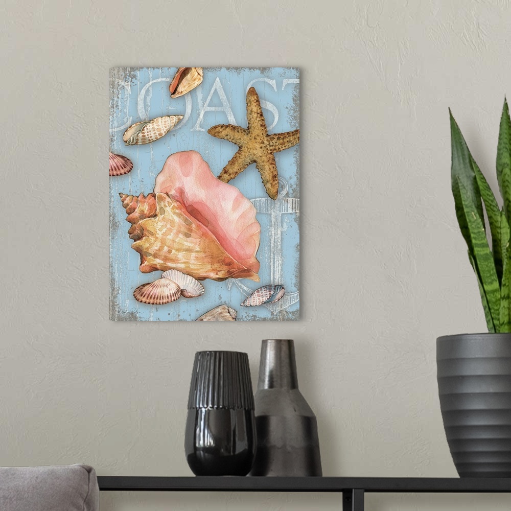 A modern room featuring Beach themed decor with seashells and a starfish on a light blue background with the word "Coast"...