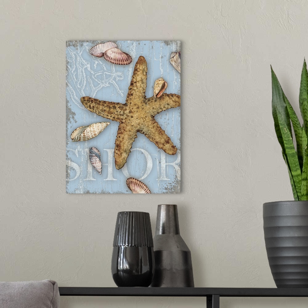 A modern room featuring Beach themed decor with seashells and a starfish on a light blue background with the word "Shore"...
