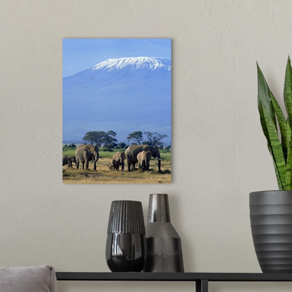 African Elephants Wall Art, Canvas Prints, Framed Prints, Wall Peels ...