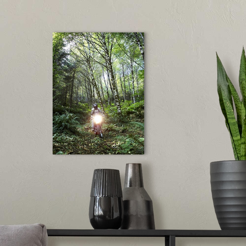 A modern room featuring Biker riding through forest with headlight
