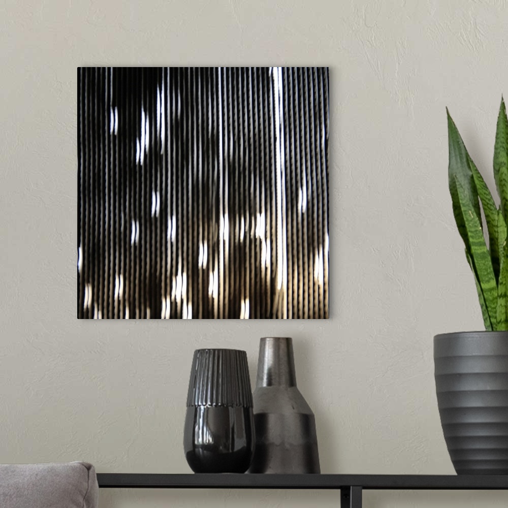 A modern room featuring Black and Brown Striped Abstract