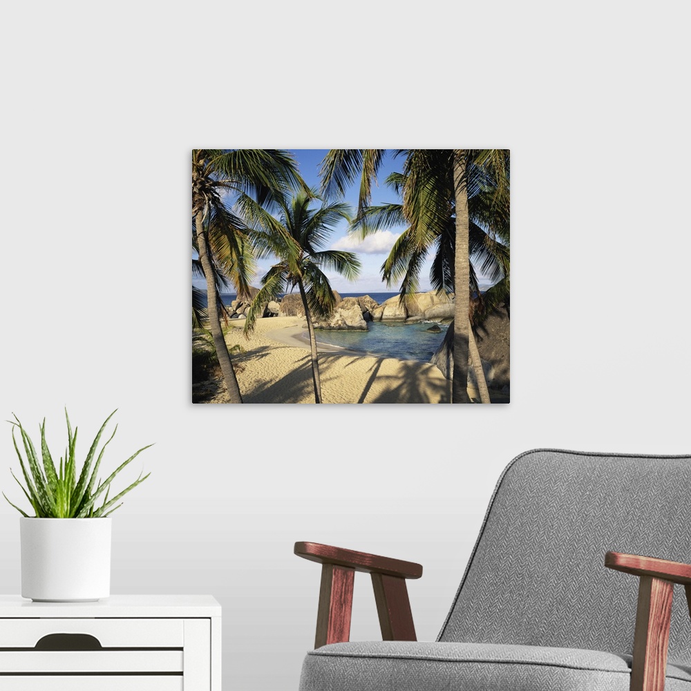 A modern room featuring British Virgin Islands, Virgin Gorda, palm trees by Spring Bay