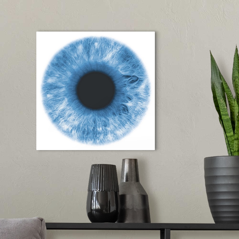 A modern room featuring Eye, negative image, with blue-green iris