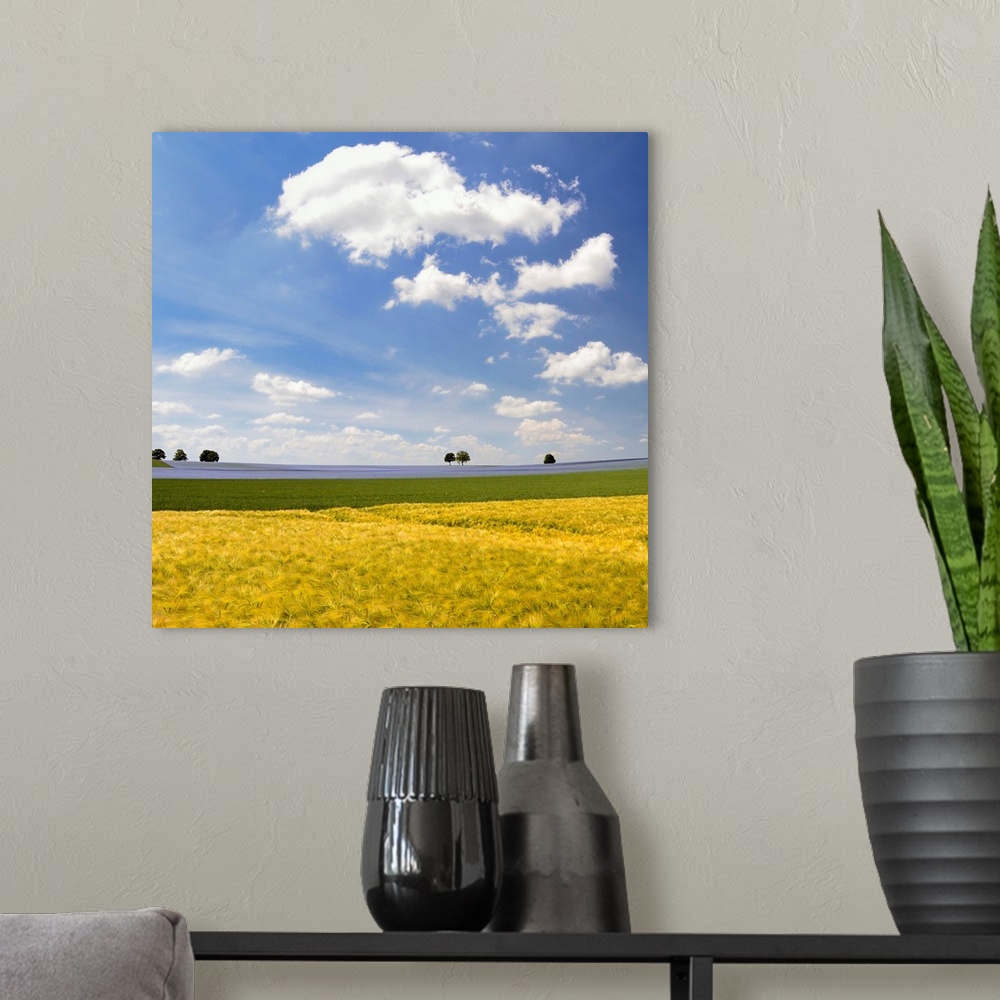 A modern room featuring Fields of barley, wheat and flax against sky.