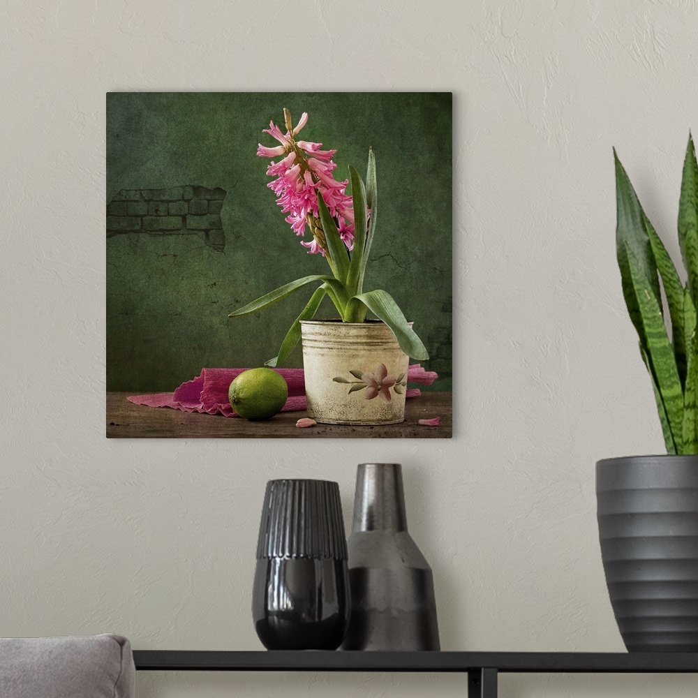 A modern room featuring Square still life with hyacinth and lime.