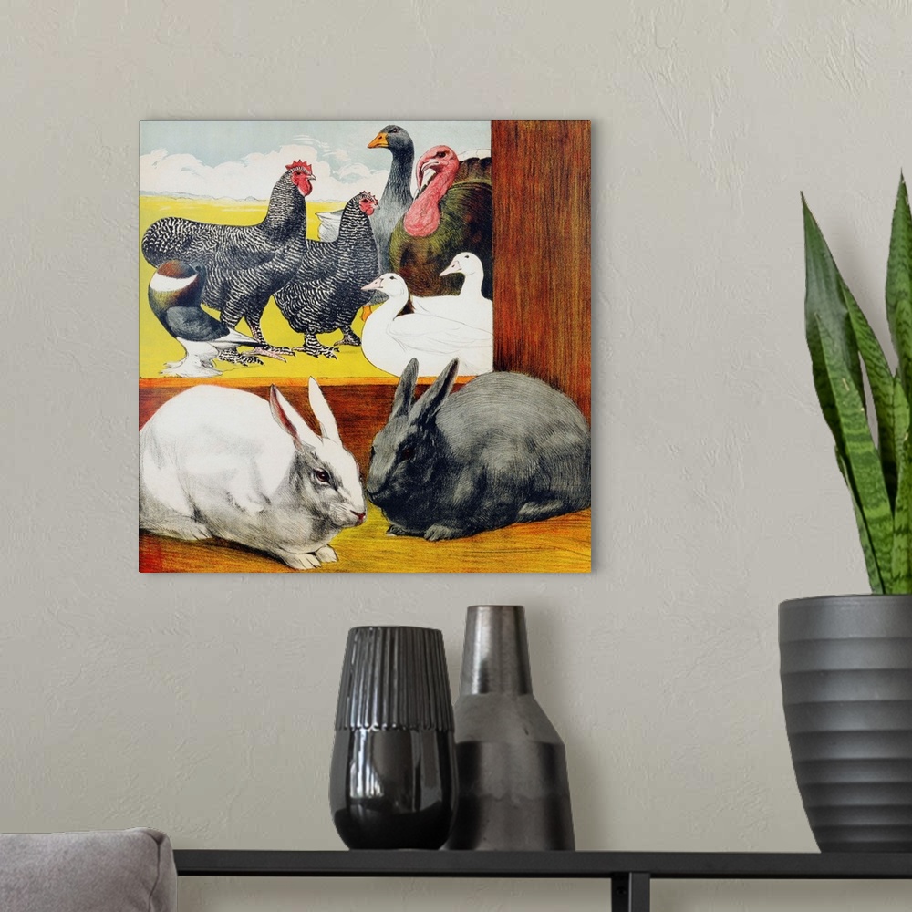 A modern room featuring Illustration Depicting Rabbits And Farm Birds