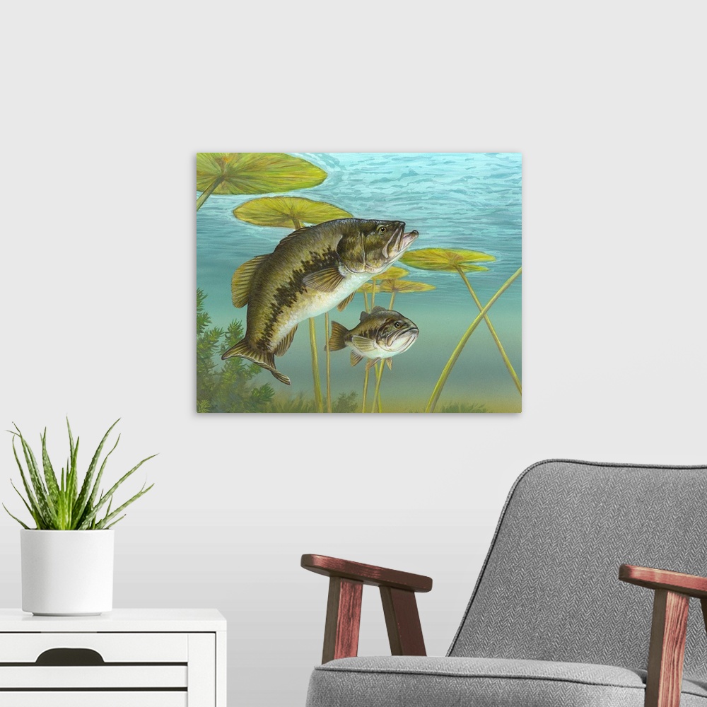 Largemouth Bass | Large Floating Frame Canvas Wall Art | Great Big Canvas