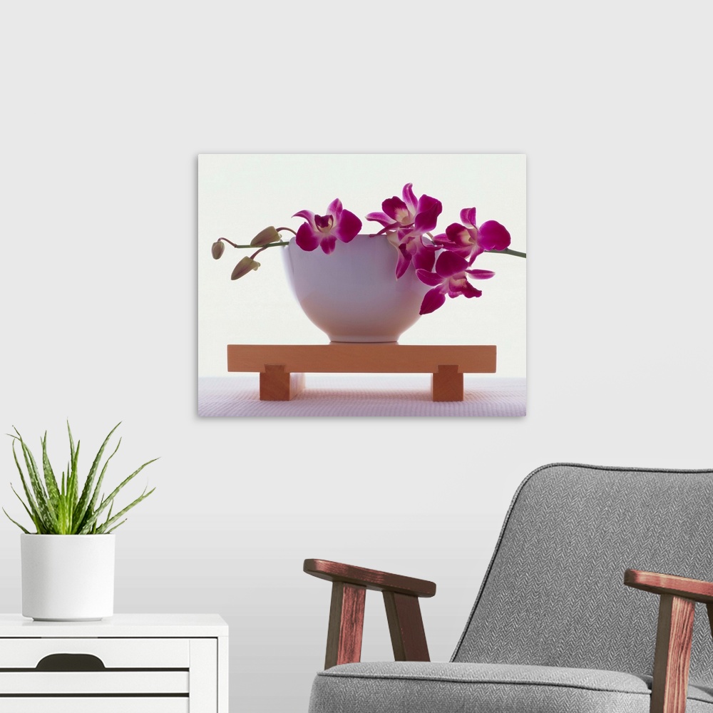 A modern room featuring Magenta Orchids In White Bowl