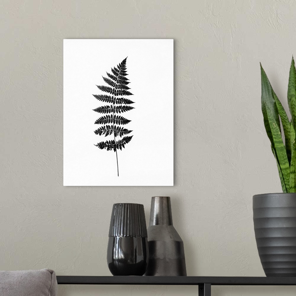 A modern room featuring Photographic study of fern leaves.