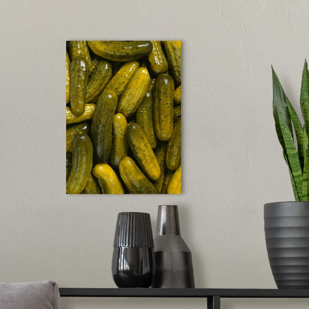 A modern room featuring Pickles