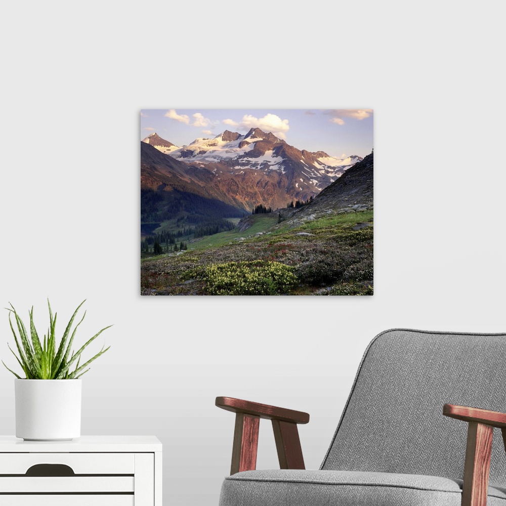 A modern room featuring Spilllimacheen Glacier from meadow basin of Silent Mountain, Purcell Mountains, British Columbia,...