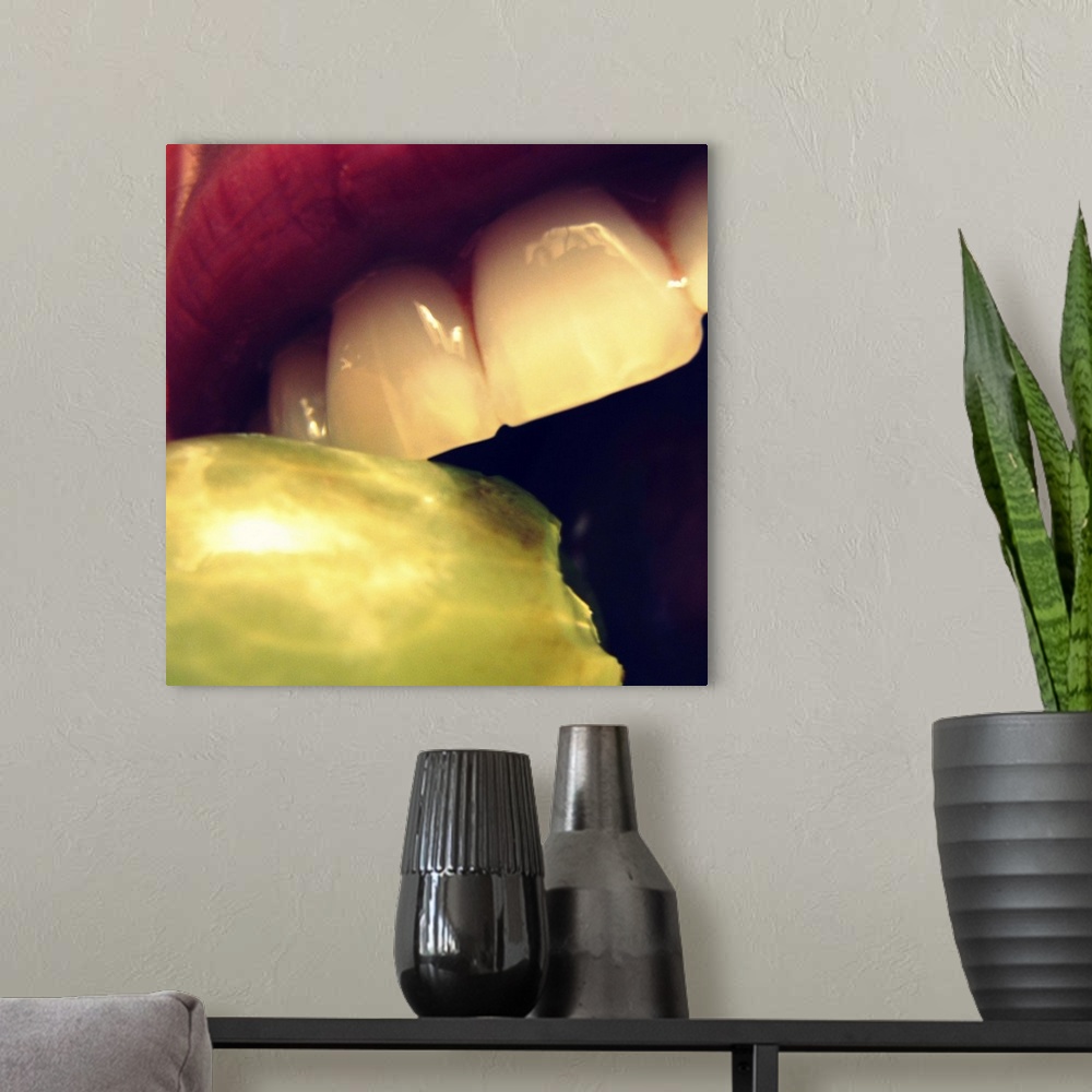 A modern room featuring Partial mouth and teeth biting green grape.