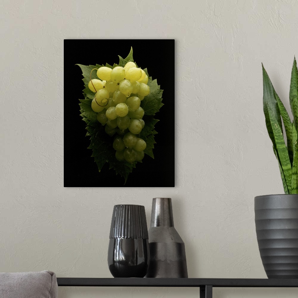 A modern room featuring White grapes on black background