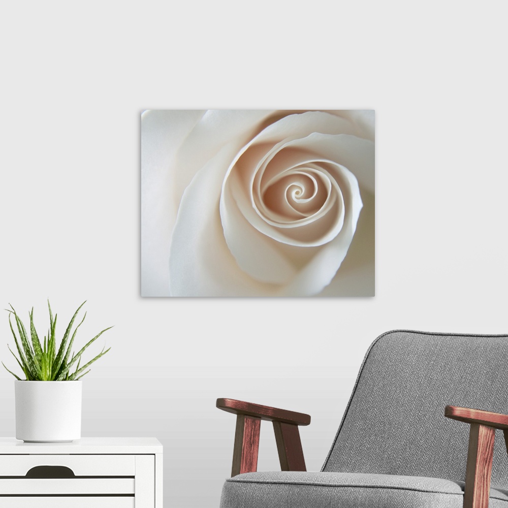 A modern room featuring White Rose Swirl