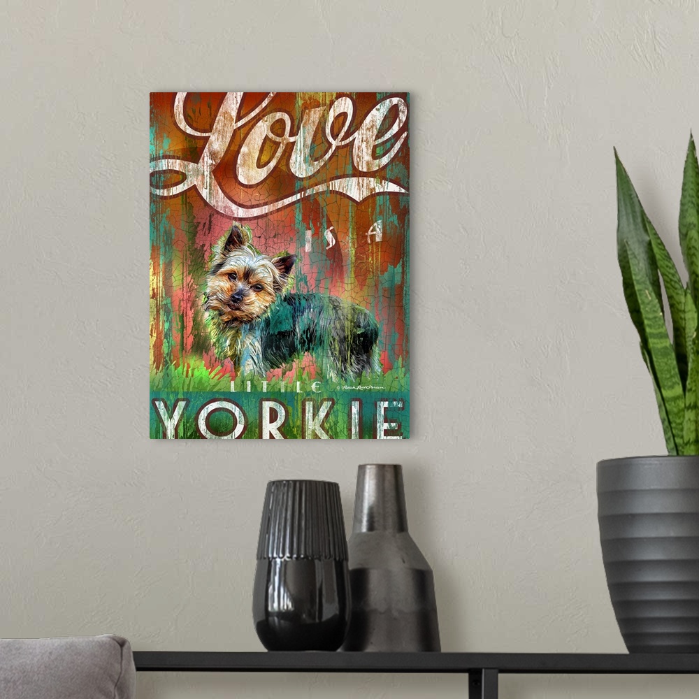 A modern room featuring Yorkie
