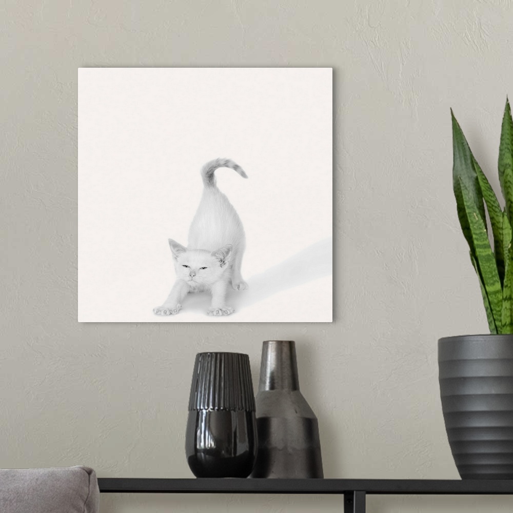 A modern room featuring A square image of a white kitten stretching.