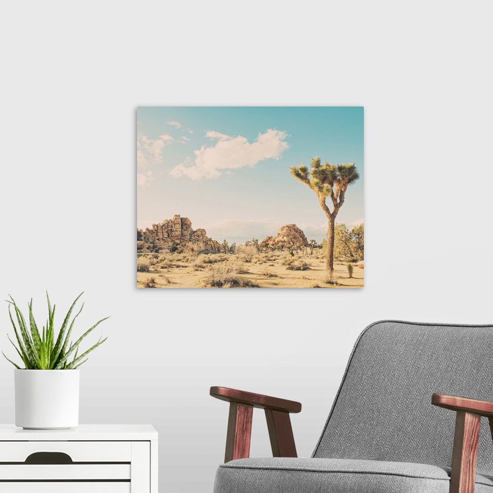 A modern room featuring Winter in the Desert No. 3