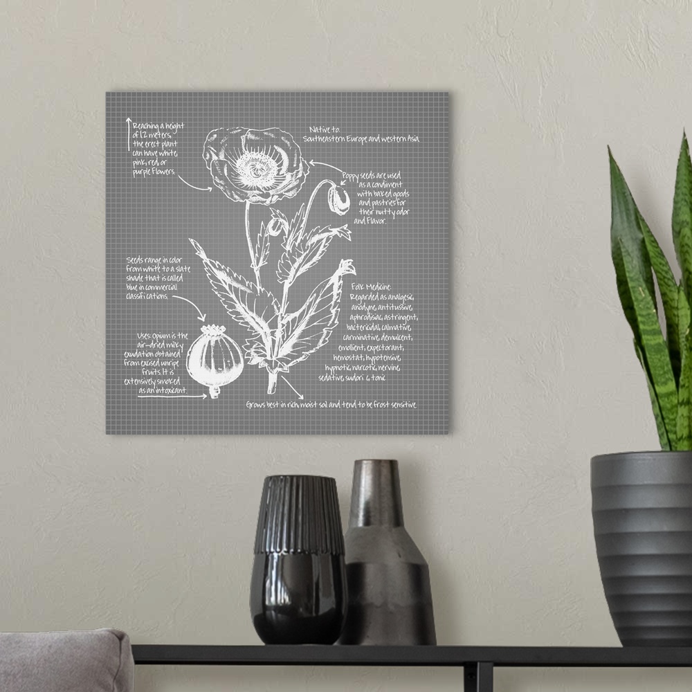 A modern room featuring Digital artwork of a blueprint in dusky gray and white featuring a poppy with brief information a...