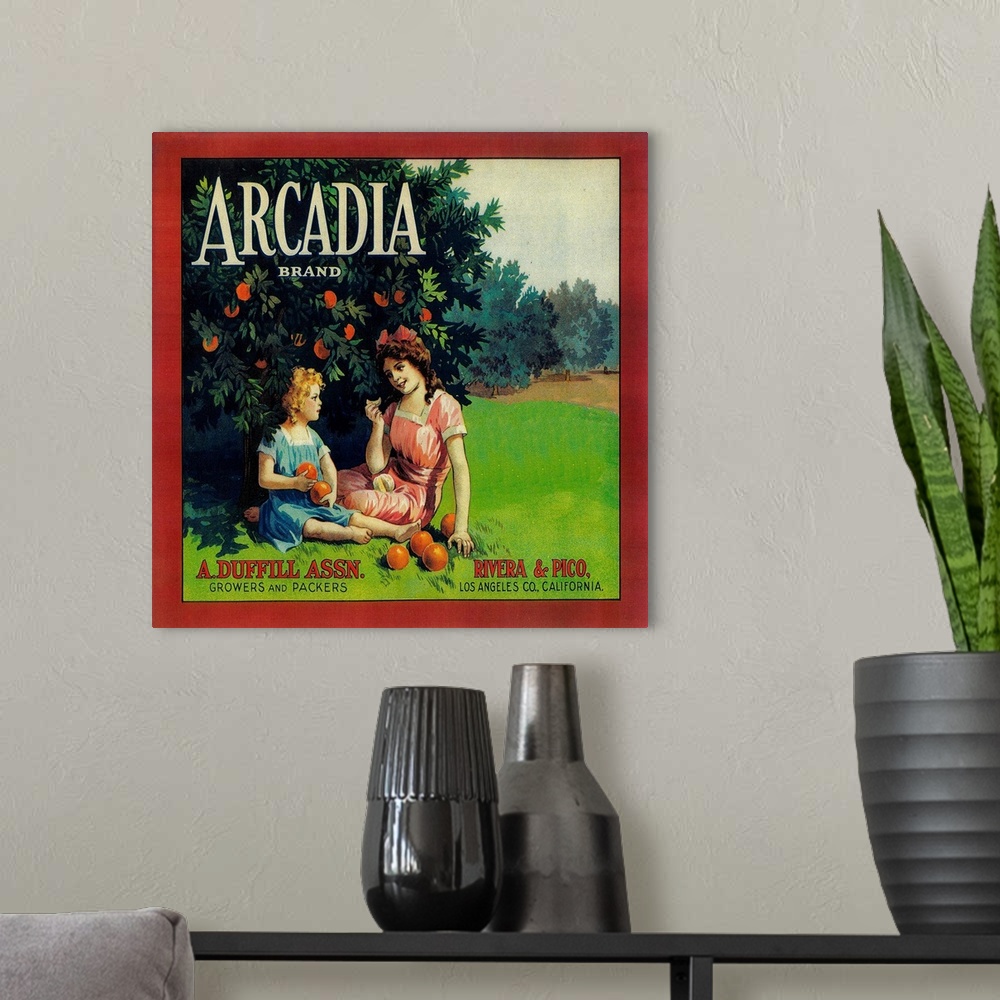 A modern room featuring Arcadia Orange Label, Pico Rivera, CA