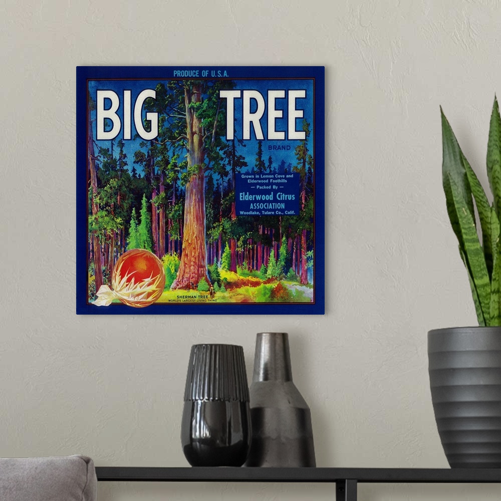 A modern room featuring Big Tree Orange Label, Woodlake, CA