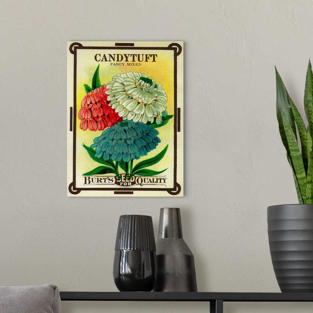 A modern room featuring A vintage label from a seed packet for Candytuft.