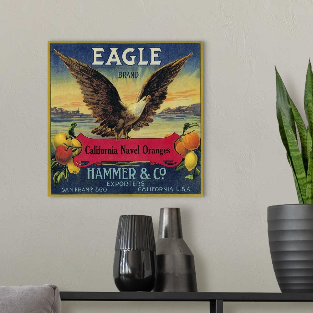 A modern room featuring Eagle Orange Label, San Francisco, CA