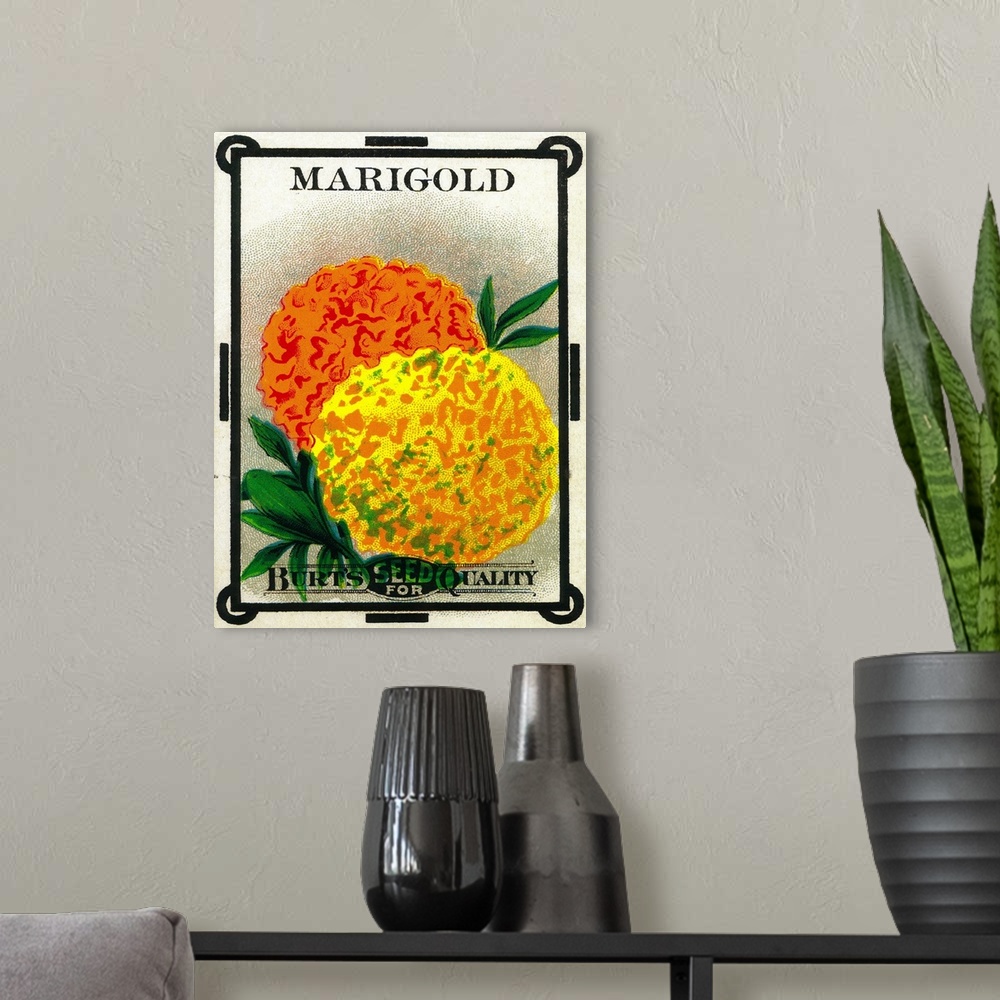 A modern room featuring A vintage label from a seed packet for marigolds.