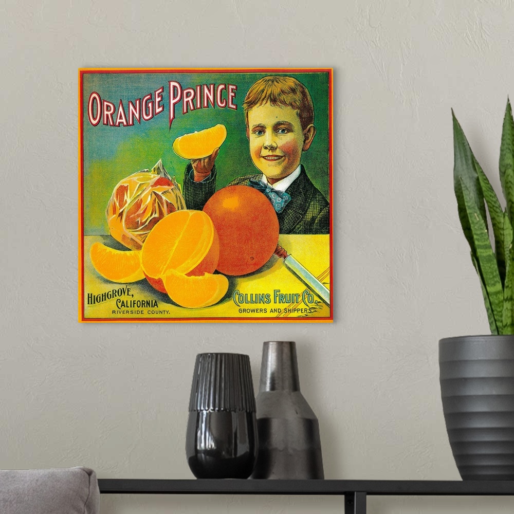 A modern room featuring Orange Prince Orange Label, Highgrove, CA
