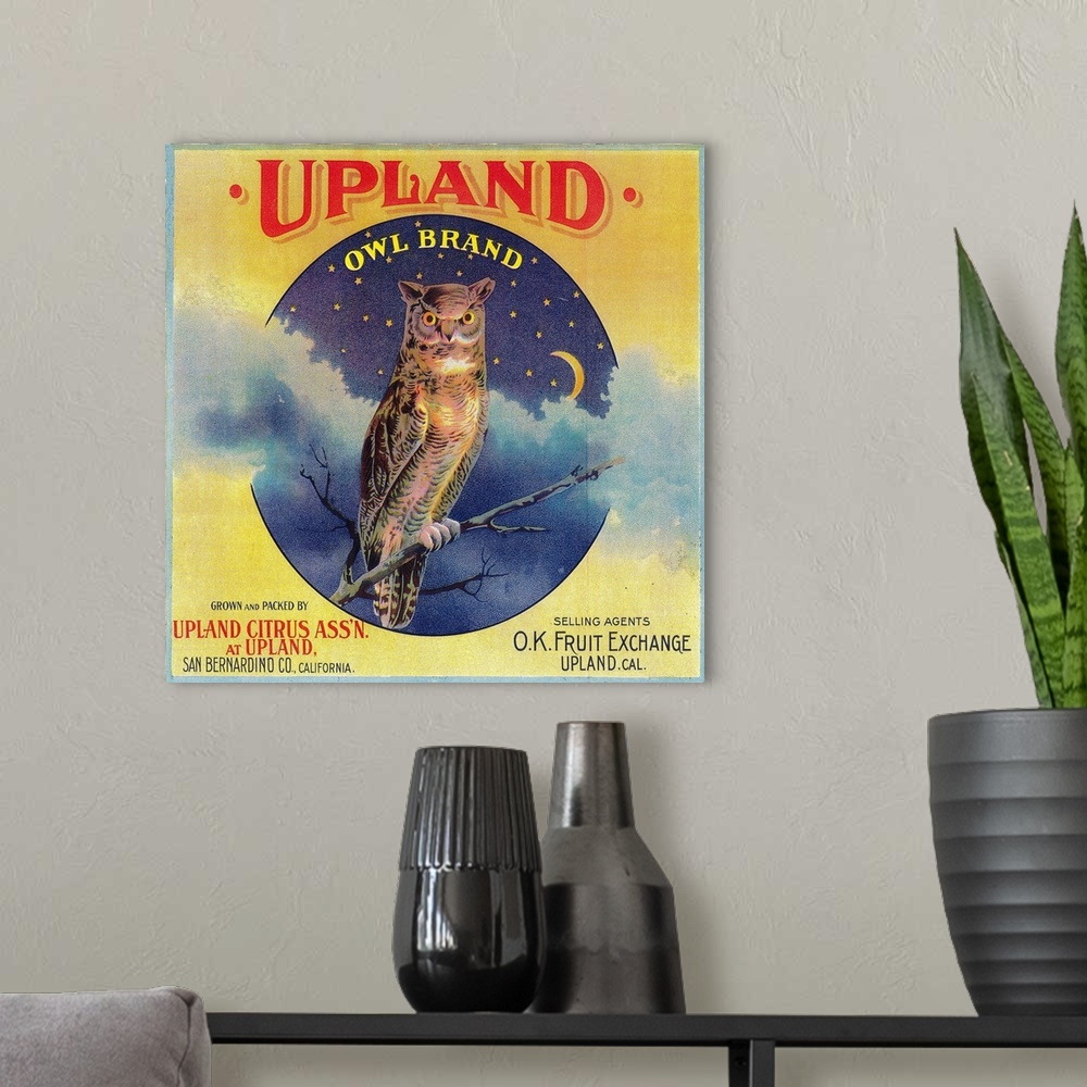 A modern room featuring Owl Orange Label, Upland, CA