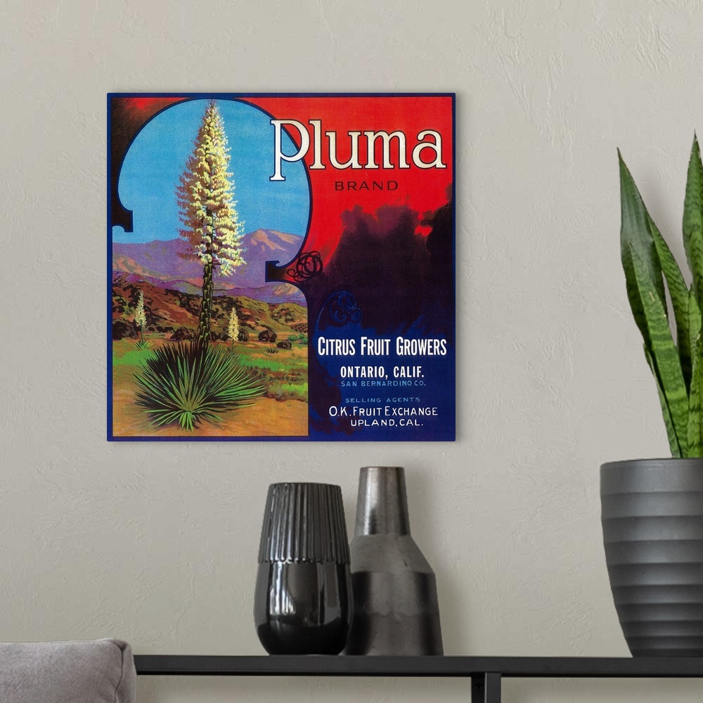 A modern room featuring Pluma Orange Label, Upland, CA