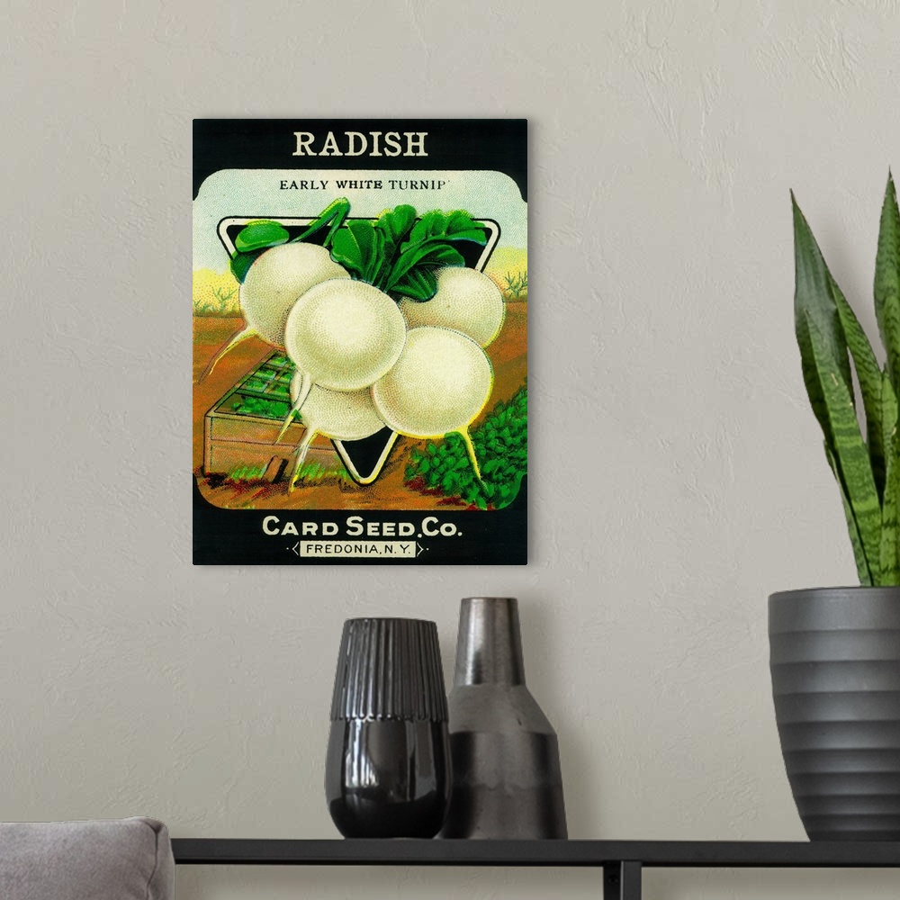 A modern room featuring A vintage label from a seed packet for radishes.