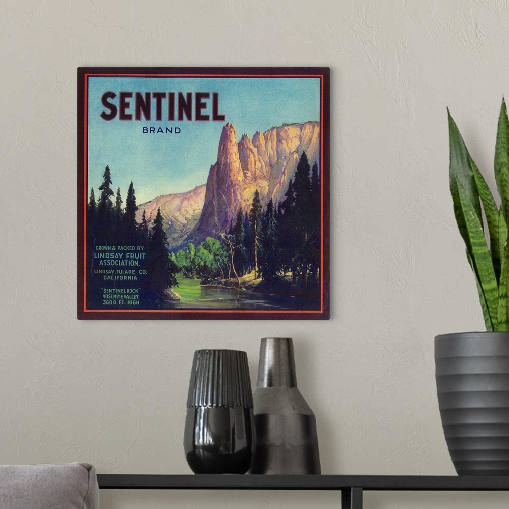 A modern room featuring Sentinel Orange Label, Lindsay, CA