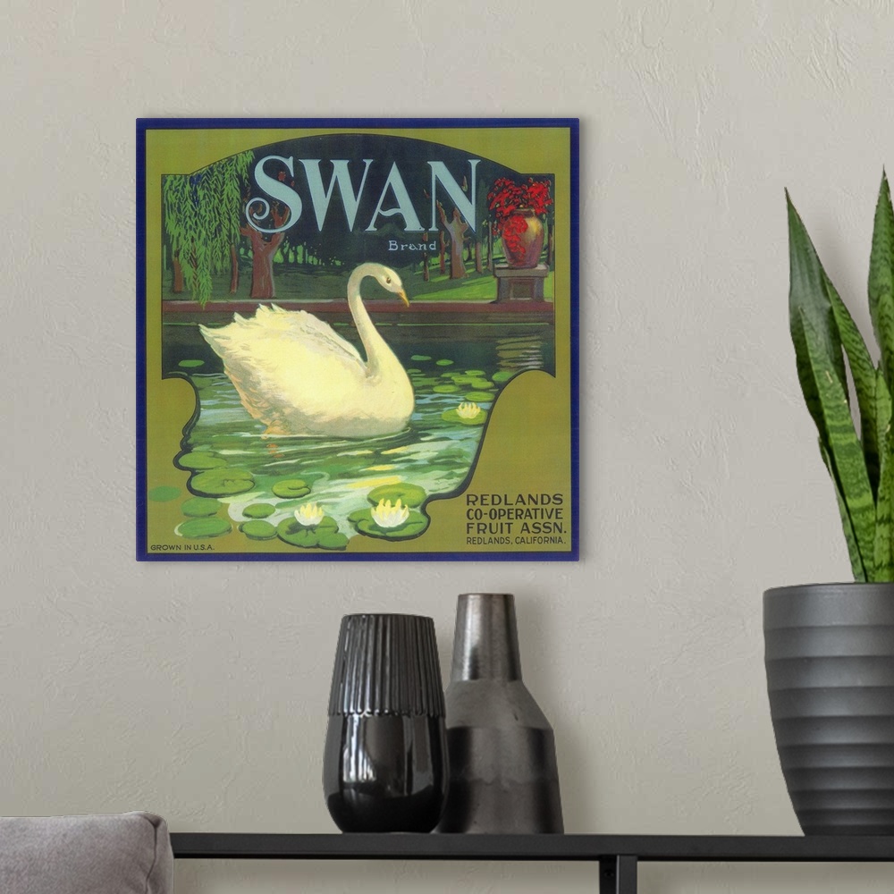 A modern room featuring Swan Orange Label, Redlands, CA