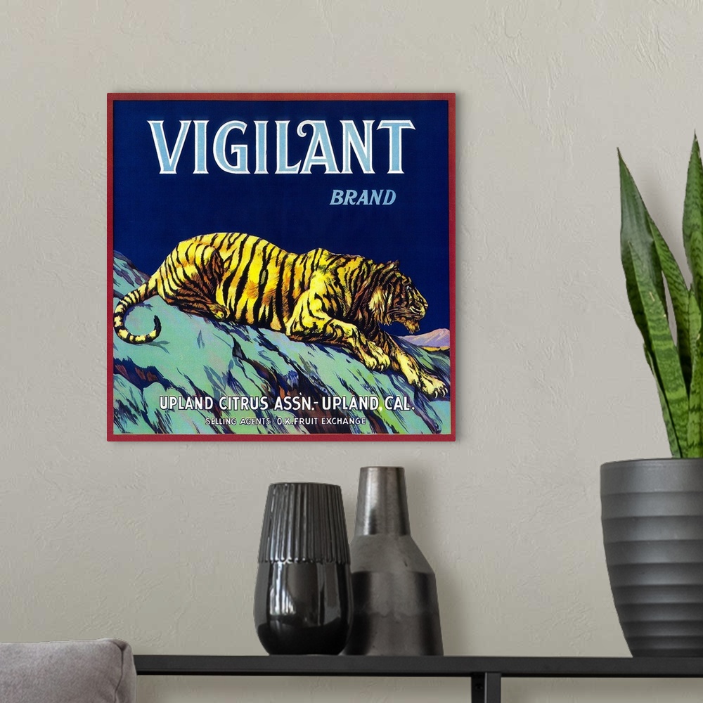 A modern room featuring Vigilant Orange Label, Upland, CA
